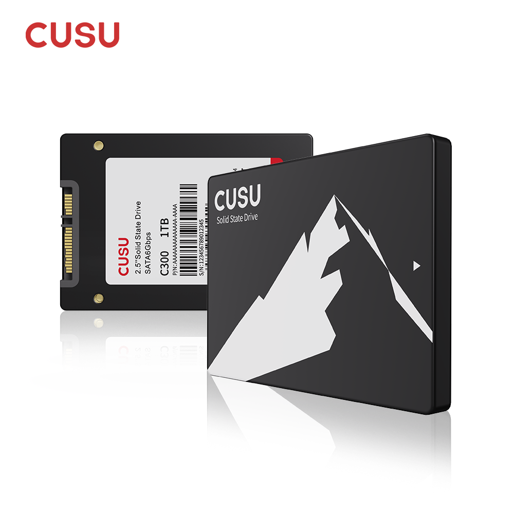 Ssd 500Gb - CUSU SSD 1 تيرا بايت 512
